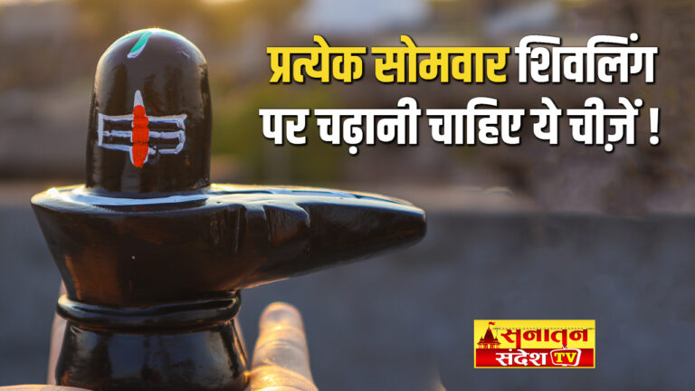 हर सोमवार शिवलिंग पर चढ़ाएं ये सारी चीजें, और पढ़ें शिव चालीसा जिससे पाएंगें महादेव की विशेष कृपा