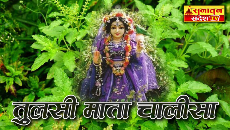 Tulsi Chalisa Lyrics: पढ़ें माँ तुलसी चालीसा पाठ और लाभ – नमो नमो तुलसी महारानी