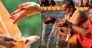 Hariyali Amavasya Daan