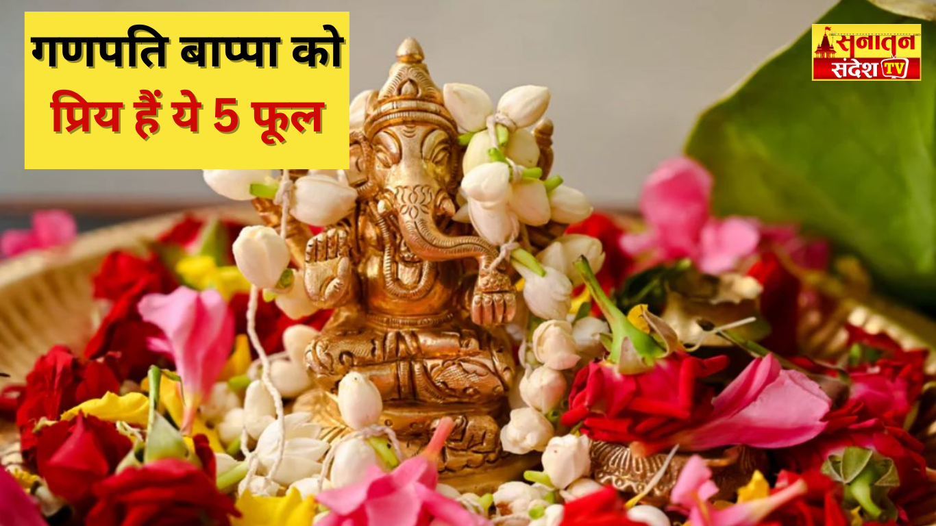 #गणेशचतुर्थी2025 #गणपति_बाप्पा_मोरया #गणेशपूजा #भगवानगणेश #गणेशउत्सव #गणेशजी_के_प्रिय_फूल #GaneshChaturthi #GanpatiBappaMorya #Ganesh_Puja_Flowers #GaneshBhakti