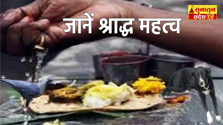 #spiritualbenefits #hindufestivals #shradhrituals #importanceofshradh #pitrapaksha2025 #श्राद्धपक्ष #पितृपक्ष #कौएकोभोजन #गायकोभोजन